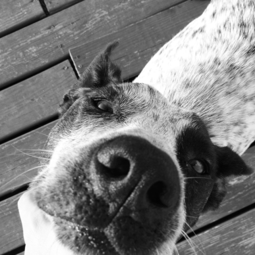 Screen Shot 2014-02-21 at 6.52.14 PM